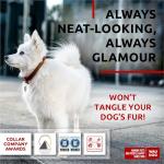 Ultra Soft Rolled Leather Dog Collar for Puppies