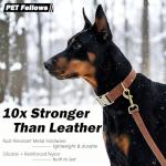 Adjustable Waterproof Leather Dog Collar for Small Dogs