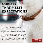 Ultra Soft Rolled Leather Dog Collar for Puppies