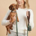 Didog Adjustable Soft PU Leather Dog Collar - Green