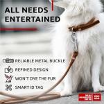 Ultra Soft Rolled Leather Dog Collar for Puppies