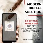 Ultra Soft Rolled Leather Dog Collar for Puppies