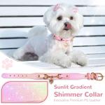 Cute Pink Rhinestone Heart Dog Collar for Small Pets