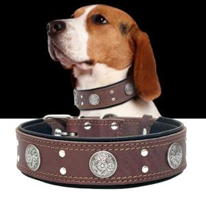 Heavy Duty Leather Dog Collar for Large Dogs