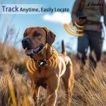 Leather Airtag Dog Collar – Waterproof, Quick Release