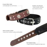Heavy Duty Leather Dog Collar for Large Dogs