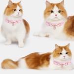 Iridescent Pink Dog Collar with Heart Pendant