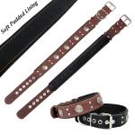 Heavy Duty Leather Dog Collar for Large Dogs