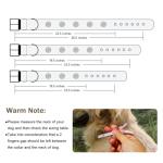 Heavy Duty Leather Dog Collar for Large Dogs