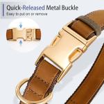 Leather Airtag Dog Collar – Waterproof, Quick Release