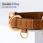 Leather Airtag Dog Collar – Waterproof, Quick Release