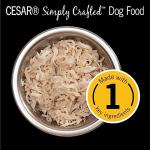 CESAR Wet Dog Food, Chicken Flavor, 10 Pack