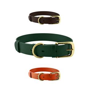 Tuff Pupper Heavy-Duty Waterproof Dog Collar