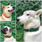 Tuff Pupper Heavy-Duty Waterproof Dog Collar