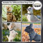 Reflective Paw Print Dog Collar - Adjustable Black