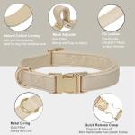 YUDOTE Soft Leather Padded Dog Collar for Small Dogs