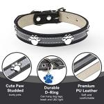 Reflective Paw Print Dog Collar - Adjustable Black