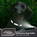 Reflective Paw Print Dog Collar - Adjustable Black