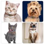 Soft Adjustable Leather Cat Collar with Bells