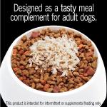 CESAR Wet Dog Food, Chicken Flavor, 10 Pack