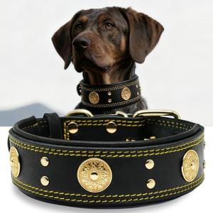 Heavy Duty Black-Gold Leather Dog Collar