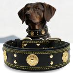 Heavy Duty Black-Gold Leather Dog Collar