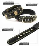 Heavy Duty Black-Gold Leather Dog Collar