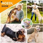 Chew Proof Spiked Dog Collar for Small Pets