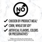 NUTRO Grain-Free Hearty Beef Stew for Dogs