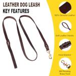 Leather Dog Collar and Leash Set for Small Dogs