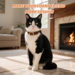 Adjustable Genuine Leather Cat Collar - Durable & Comfortable