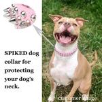 Adjustable Spiked Dog Collar with Squeaky Ball