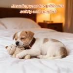 Adjustable Genuine Leather Cat Collar - Durable & Comfortable