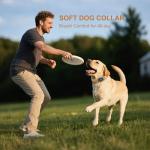 Waterproof Leather Dog Collar with AirTag Holder