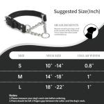 Martingale Dog Training Collar - Adjustable Leather Design