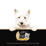 CESAR Wet Dog Food, Chicken Flavor, 10 Pack