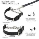 Martingale Dog Training Collar - Adjustable Leather Design