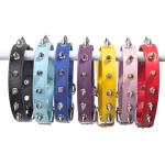 Black Spiked Dog Collar for Small Breeds
