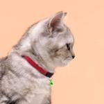 Adjustable Breakaway Cat Collar with Bell - Red