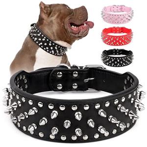 Adjustable Spiked Dog Collar with Mushroom Rivets
