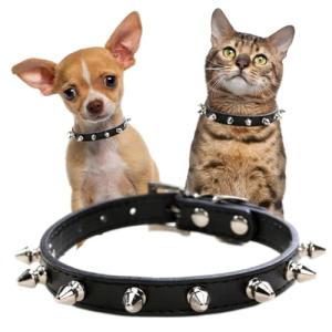 Spiked Faux Leather Collars for Small Dogs