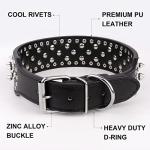 Adjustable Spiked Dog Collar with Mushroom Rivets
