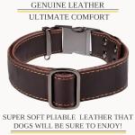 ADITYNA Heavy-Duty Leather Dog Collar - Adjustable