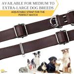 ADITYNA Heavy-Duty Leather Dog Collar - Adjustable