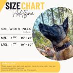 ADITYNA Heavy-Duty Leather Dog Collar - Adjustable