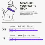 Bronzedog Leather Cat Collar with Removable Bells