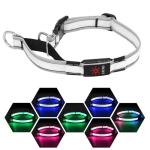 Light-Up Martingale Dog Collar with Adjustable Fit