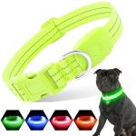 Rechargeable LED Light-Up Dog Collar - Green