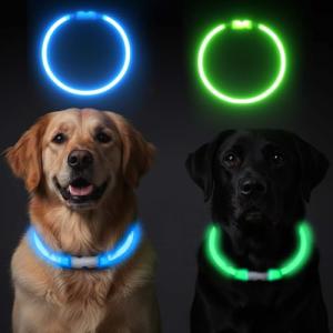 LED Dog Collar Light - 2-Pack, Rechargeable Glow