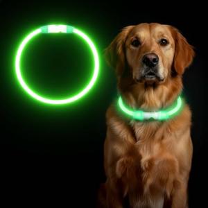 LED Light-Up Reflective Dog Collar - Green